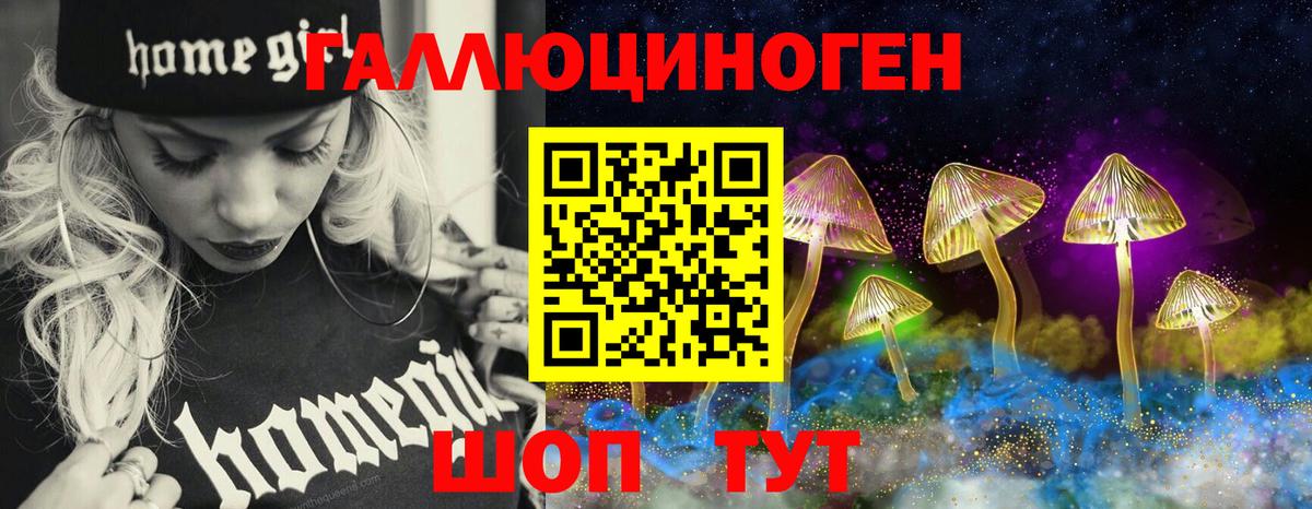 Назарово  Псилоцибиновые грибы Psilocybine cubensis  Вход с VPN 
